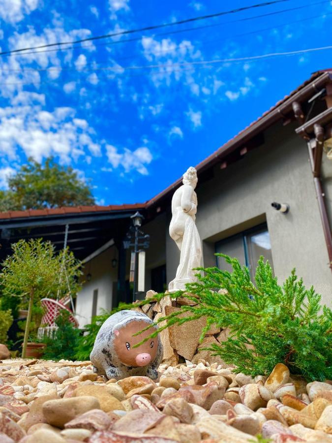 The Residence Of Silver Sky House 蒂米什瓦拉 外观 照片